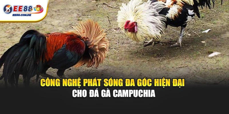 Công nghệ phát sóng đa góc hiện đại cho đá gà Campuchia Công nghệ phát sóng đa góc hiện đại cho đá gà Campuchia