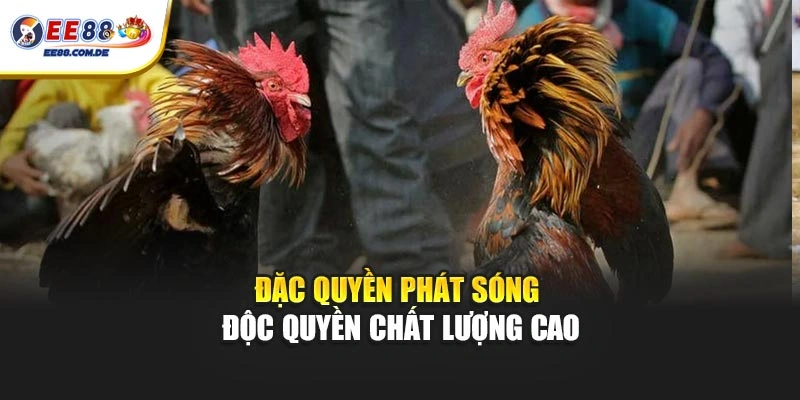 Đặc quyền phát sóng độc quyền chất lượng cao Đặc quyền phát sóng độc quyền chất lượng cao